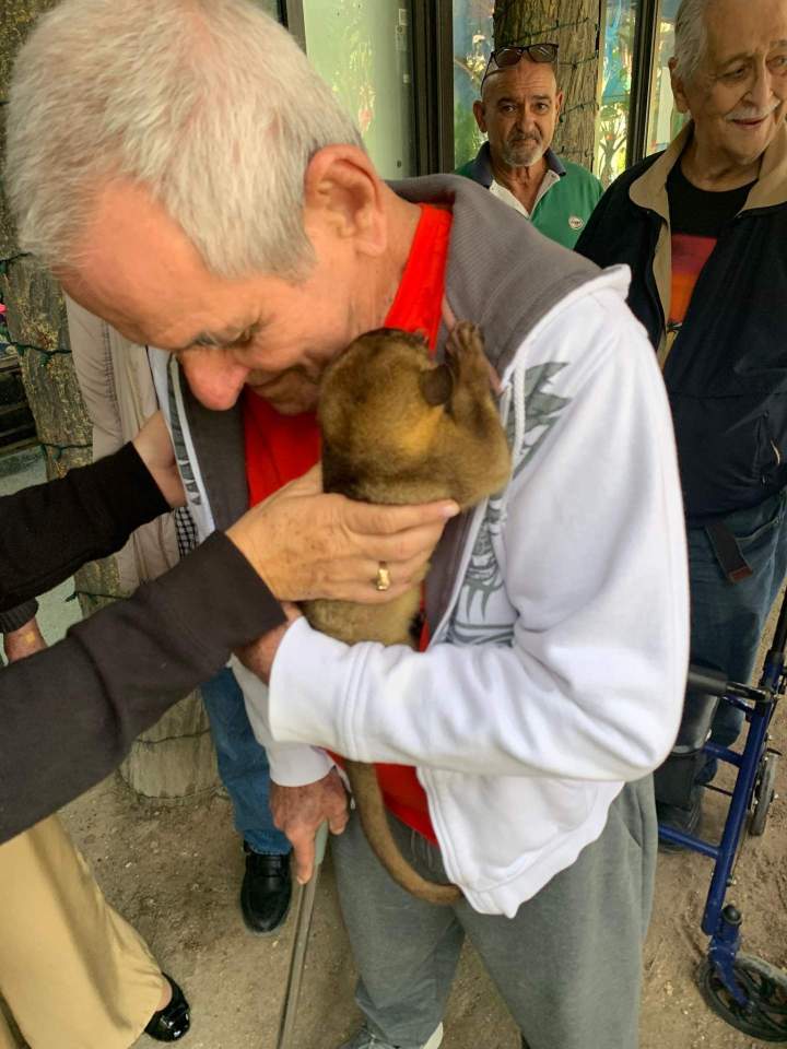 Senior transportation services Miami