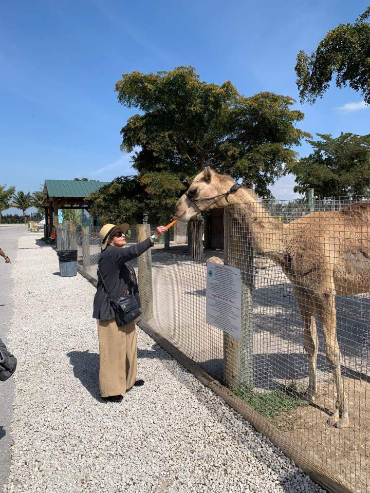 Senior Care Facility Miami