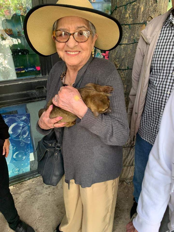 Senior nutrition services Miami